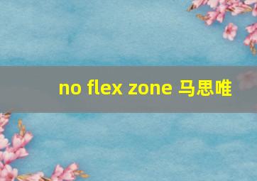 no flex zone 马思唯